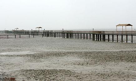 《主厨人生：餐厅模拟器》上线Steam页面 支持中文 